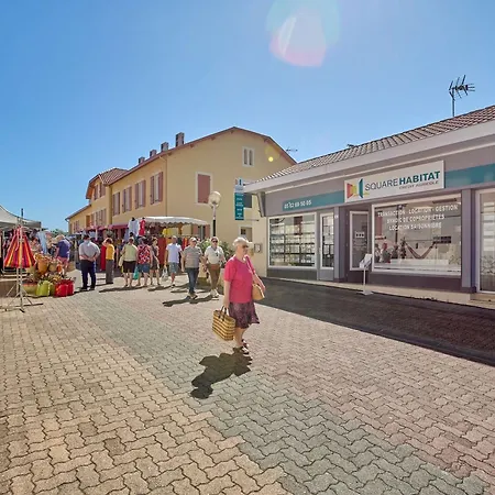 T2 Avec Terrasse - Animaux Admis A
