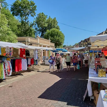 T2 Avec Terrasse - Animaux Admis A - Fr-1-841-20 公寓 巴布通莱班