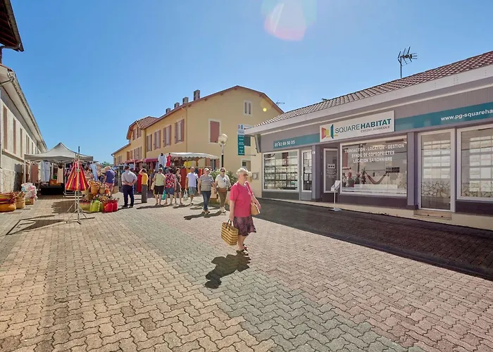 T2 Avec Terrasse - Animaux Admis A - Fr-1-841-20